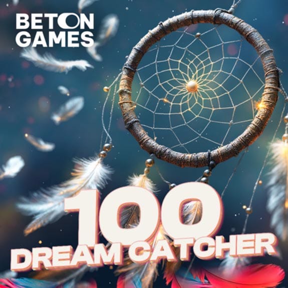 100 Dream Catcher